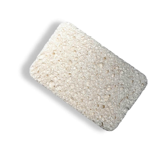 Eco-Friendly Coconut & Cellulose Kitchen Sponges | Natural, Biodegradable, 3-Pack Back View