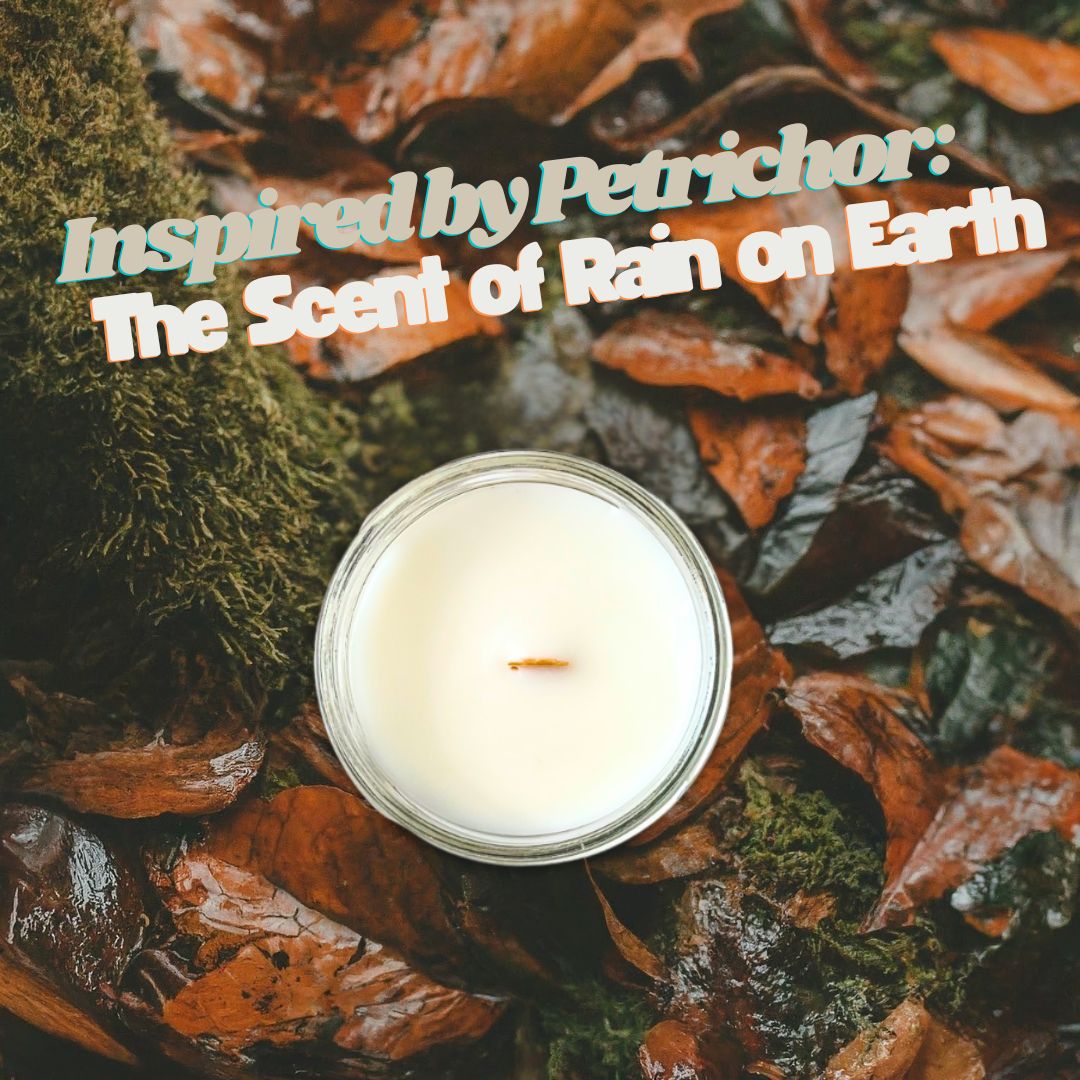 Top view of a petrichor scented premium coconut apricot wax candle showing the wooden wick detail on top of an image of wet leaves and moss.