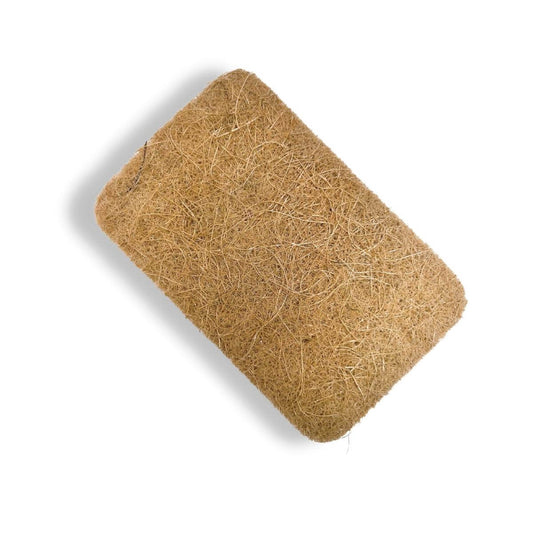 Eco-Friendly Coconut & Cellulose Kitchen Sponges | Natural, Biodegradable, 3-Pack